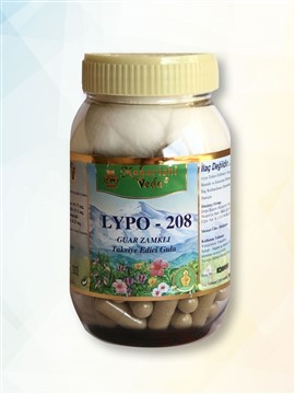 LYPO-208